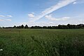 Meadow in Schwinkendorf 2021-09-07 03.jpg