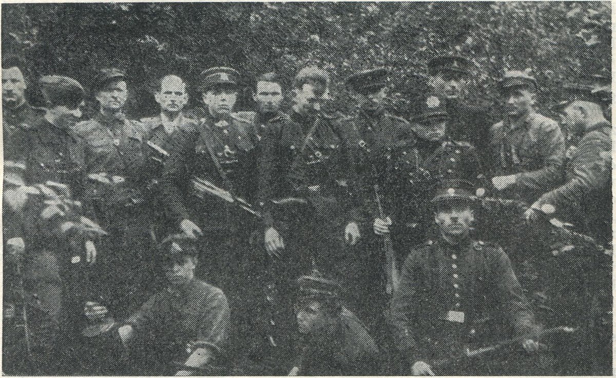 Lithuanian Partisans Wikipedia