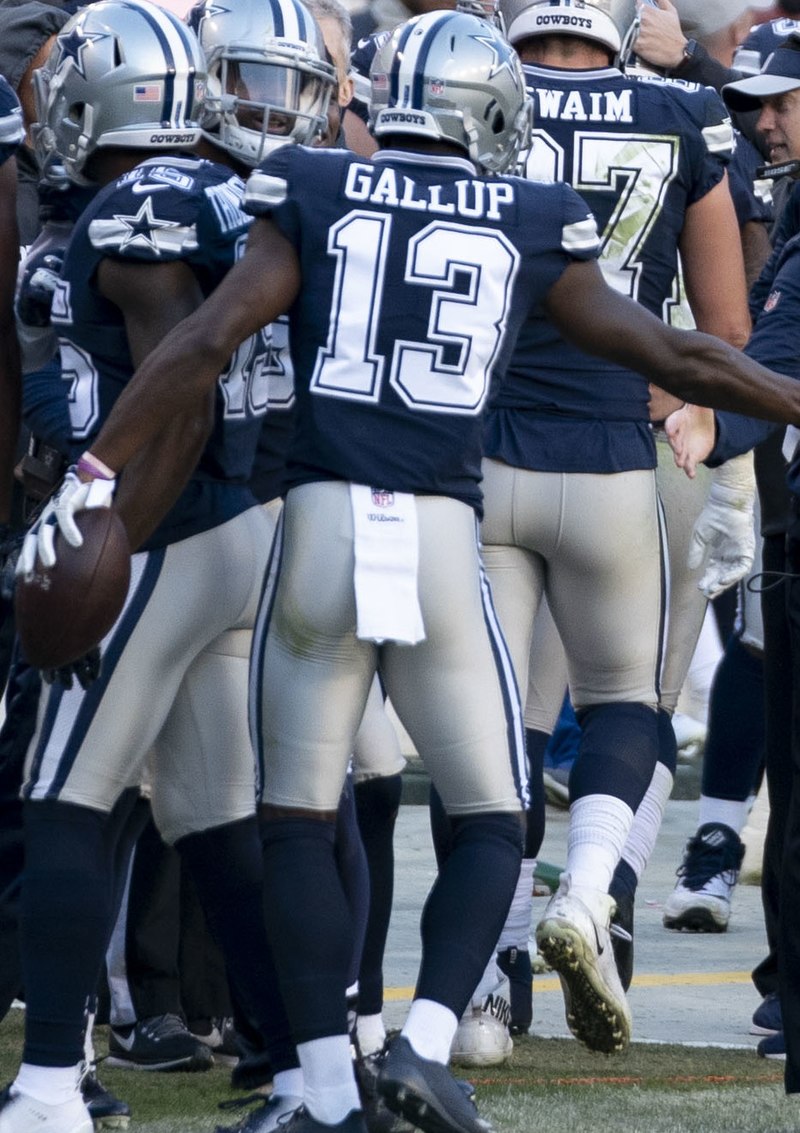 Michael Gallup - Wikipedia