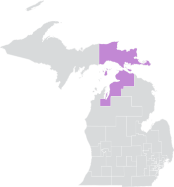 Michigan Senato Bölgesi 37 (2010) .png