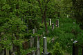 Čeština: Židovský hřbitov na severním okraji Mikulova, Jihomoravský kraj English: Jewish cemetery in Mikulov, northern edge of the town. South Moravian Region, CZ