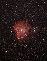 Monkey Head Nebula (49545230921).jpg