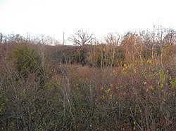 Archäologischer Bezirk Mount Nebo.jpg