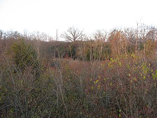 <span class="mw-page-title-main">Mount Nebo Archaeological District</span> Archaeological site in Ohio, United States