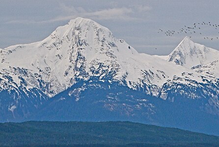Mt. Голуб от изток.jpg