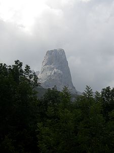 Naranjo de Bulnes.JPG