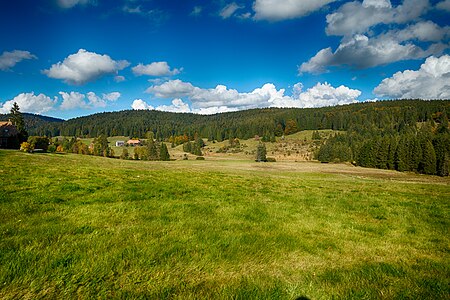 Naturschutzgebiet Kirchspielwald Ibacher Moos Bild 1