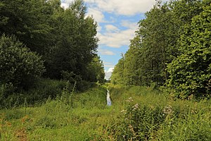 Neuenkirchener Moor nature reserve 05.JPG