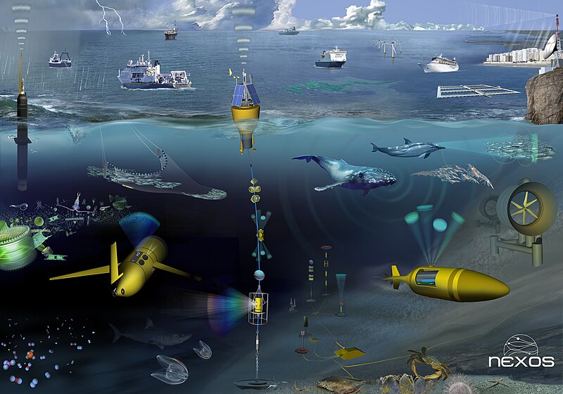 File:NeXOS project - In Situ Ocean Observing Systems.jpg