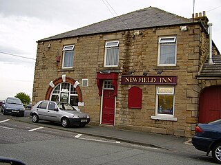 <span class="mw-page-title-main">Newfield, Chester-le-Street</span> Village in County Durham, England