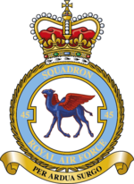 Squadron badge