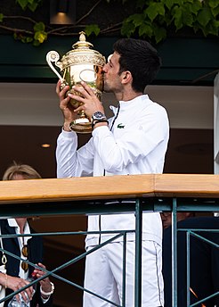 Novak Djokovic simplu masculin