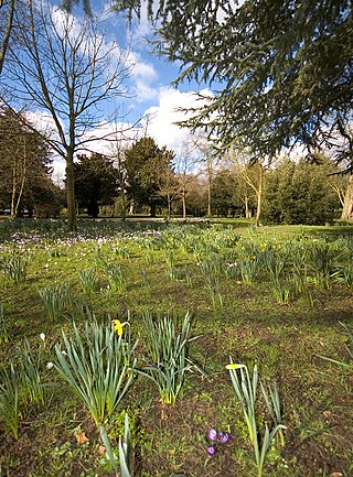 <span class="mw-page-title-main">Oaks Park (London)</span>