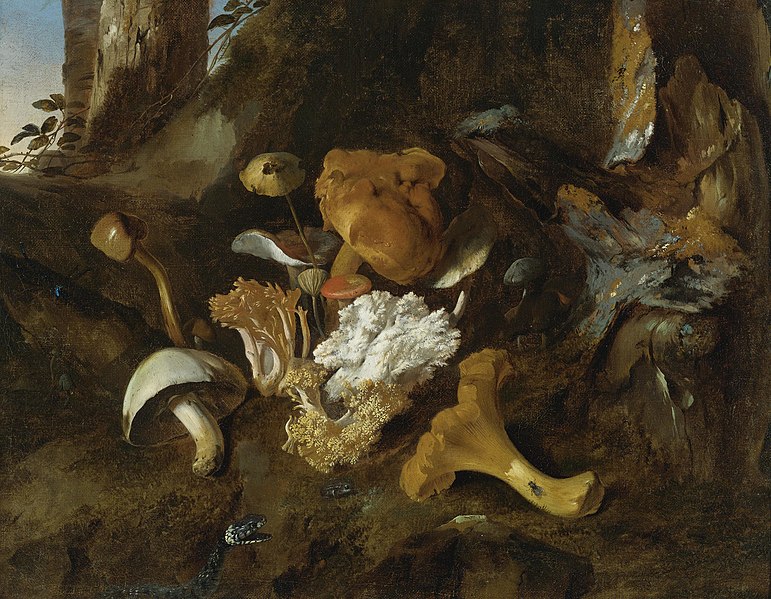 File:Otto Marseus van Schrieck - Bosstilleven met champignons, vlinders en een slang - I.jpg