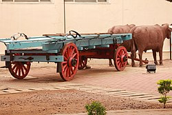 OxCart on display at Botswana National Museum.jpg