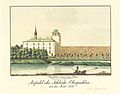 Linnuse ja lossi vaade kirdest 19. sajandil. Autor: Wilhelm Tusch