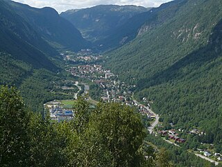 <span class="mw-page-title-main">Tinn</span> Municipality in Telemark, Norway