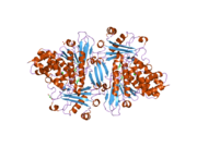 PDB 2bry EBI.png