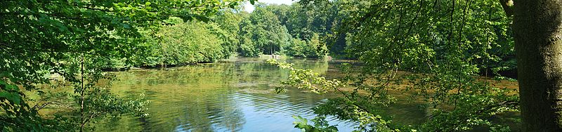 File:Panorama dans la Forêt de Soignes - panoramio (1).jpg