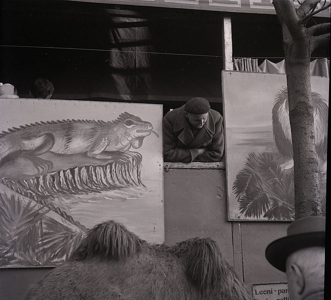 File:Paolo Monti - Serie fotografica - BEIC 6361598.jpg