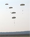 Parachutists landing on Ginkelse Heide near Ede - 16 September 2006