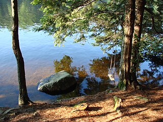 <span class="mw-page-title-main">Pawtuckaway State Park</span>