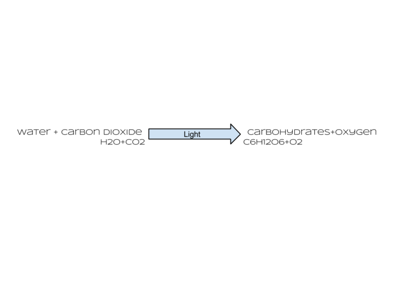 File:Photosynthesis equation with words and symbols.png