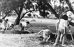 Digging trenches on kibbutz Gan Shmuel before the Six-Day War PikiWiki Israel 291 Kibutz Gan-Shmuel bs2- 6 gn-SHmvAl-bhmtnh 1967.jpg