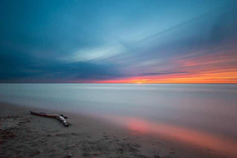 File:Pinery Provincial Park, Lambton Shores, Canada (Unsplash cOwlYKo fhM).jpg