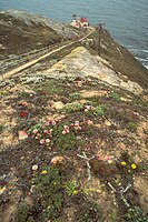 Point Reyes Lighthouse 2.jpg