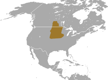 File:Prairie Shrew area.png