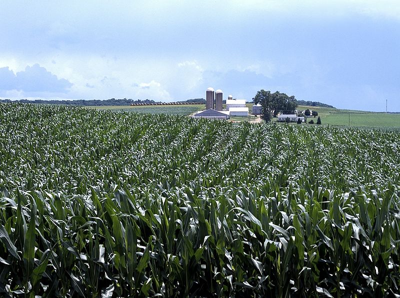 File:Prosperous Amish farm 15878v.jpg