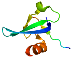 Protein CBX5 PDB 3FDT.png