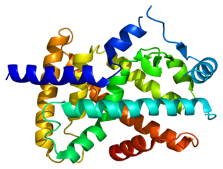 <span class="mw-page-title-main">Peroxisome proliferator-activated receptor alpha</span> Nuclear receptor protein found in humans
