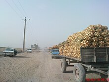 Transport d'oignons à Dezfoul en Iran.