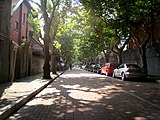 רחוב שקט ומוצל באזור הרובע הצרפתי של שאנגחאי