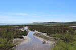 Vignette pour Réserve naturelle nationale des prés salés d'Arès et de Lège-Cap-Ferret