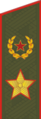 2013 елдан Россиядә армия генералының көндәлек погоны