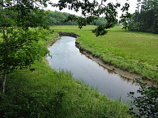 <span class="mw-page-title-main">Rachel Carson National Wildlife Refuge</span>