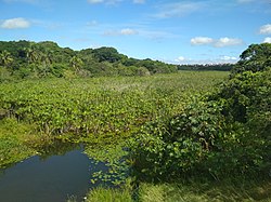 Rio Pitimbú, Natal, Rio Grande do Norte.jpg