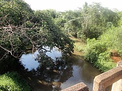 Rio do Tamanduá na Rodovia vicinal Cravinhos-Serrana - Rodovia Angelo Cavalheiro - panoramio.jpg