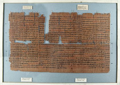 Brooklyn Papyrus 664-332 SM