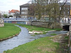 Mündung des Bayreuther Mühlkanals (von rechts) in den Roten Main