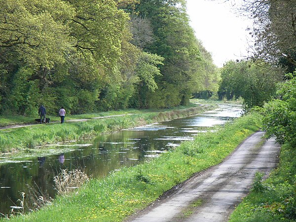 Royal Canal from D'Arcy's bridge, County Westmeath