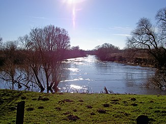 Koppeln vid Sarstedt-Ruthe