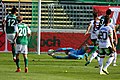 goalkeeper Michael Esser (blue shirt, SK Sturm Graz) in action