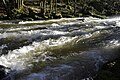 The rapids of the Saut du Chalard in the Dronne river near Champs-Romain