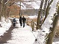 Schlachtensee - Winterlicher Rundweg (Wintry Circular Path) - geo.hlipp.de - 33186.jpg