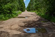 English: Sciklieva republican biological reserve. Minsk, Belarus Беларуская: Рэспубліканскі біялагічны заказнік Сціклева. Мінск, Беларусь Русский: Республиканский биологический заказник Стиклево. Минск, Беларусь