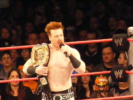 Sheamus as the WWE Champion in December 2009